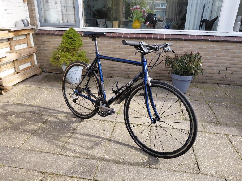 Sportfiets Batavus, Ophalen, Gebruikt, Meer dan 20 versnellingen, Batavus