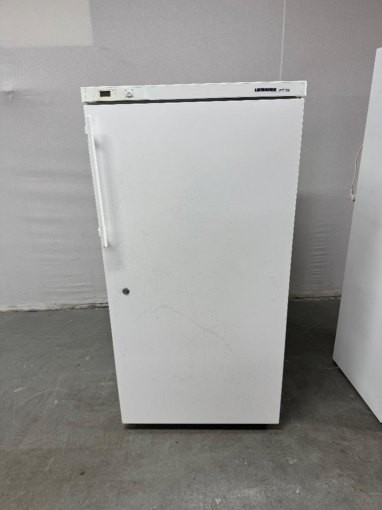 Grote Vriezer Liebherr, Witgoed en Apparatuur, Ophalen of Verzenden, Gebruikt, Minder dan 60 cm, 160 cm of meer