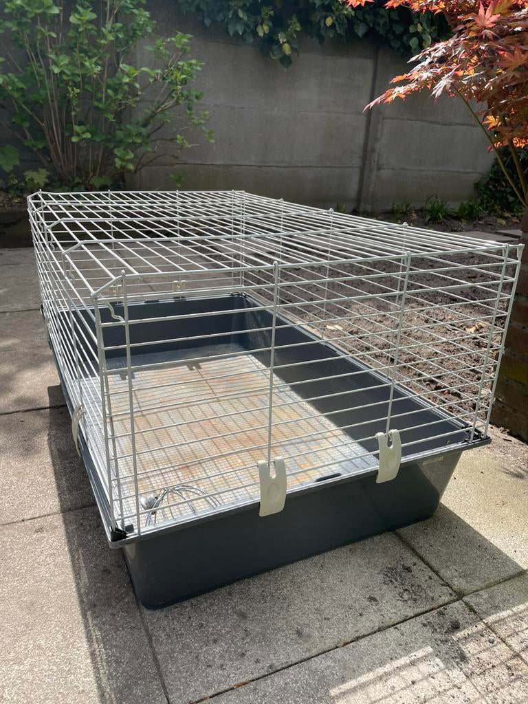 Grote binnenren, Dieren en Toebehoren, Knaagdieren en Konijnen | Hokken en Kooien, Kooi, Gebruikt, 75 tot 110 cm, Ophalen