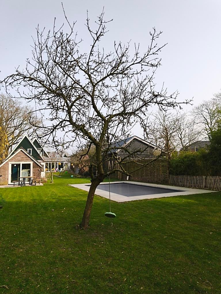 Appelboom, Tuin en Terras, Overige soorten, Lente, 400 cm of meer, Ophalen
