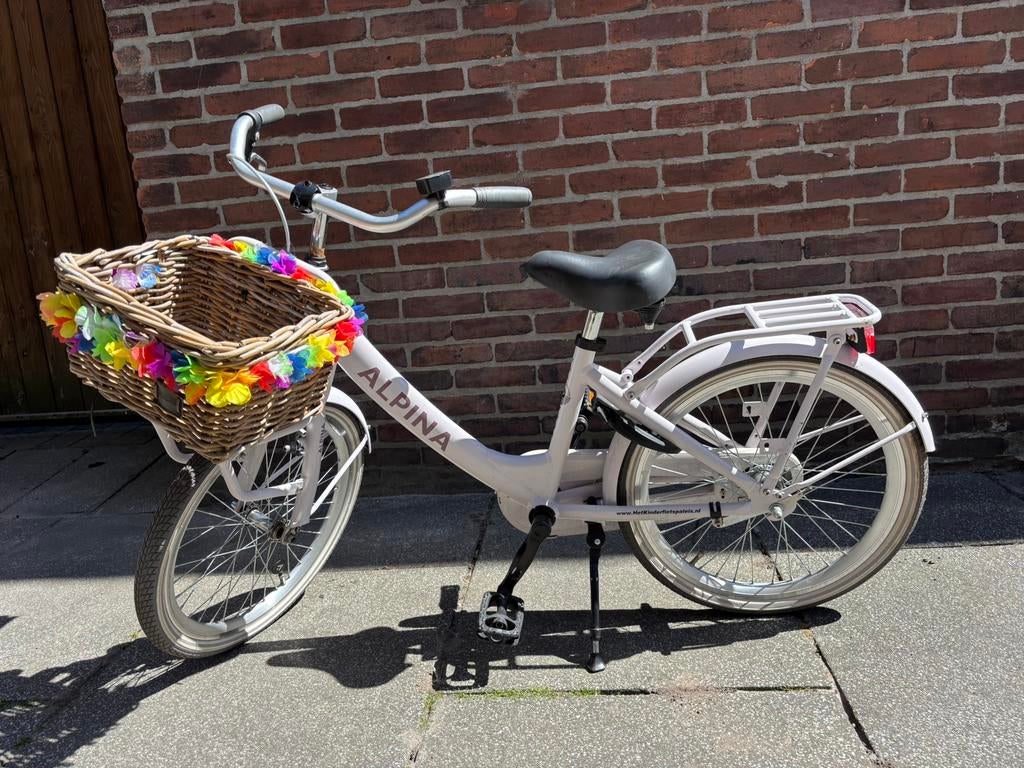 Meisjesfiets 20 inch Alpina, Ophalen of Verzenden, Zo goed als nieuw, 20 inch