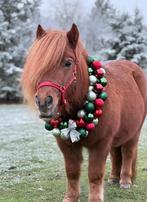 Pony zoekt maatje, Dieren en Toebehoren