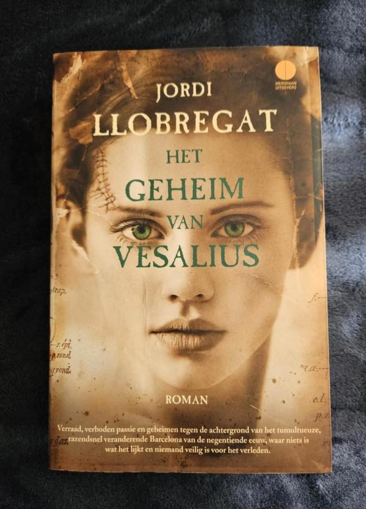 Jordi Llobregat - Het geheim van Vesalius, Boeken, Historische romans, Gelezen, Ophalen of Verzenden