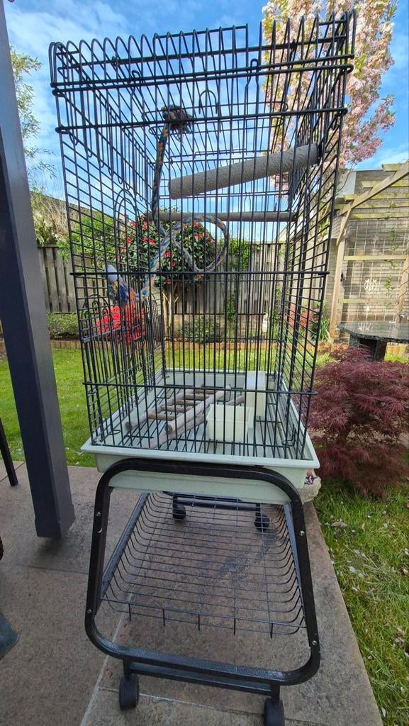 Vogelkooi, Ophalen, Zo goed als nieuw, Vogelkooi