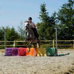 Bijrijder aangeboden/rij,juf voor jonge/onopgeleide paardjes, Ophalen of Verzenden, Nieuw