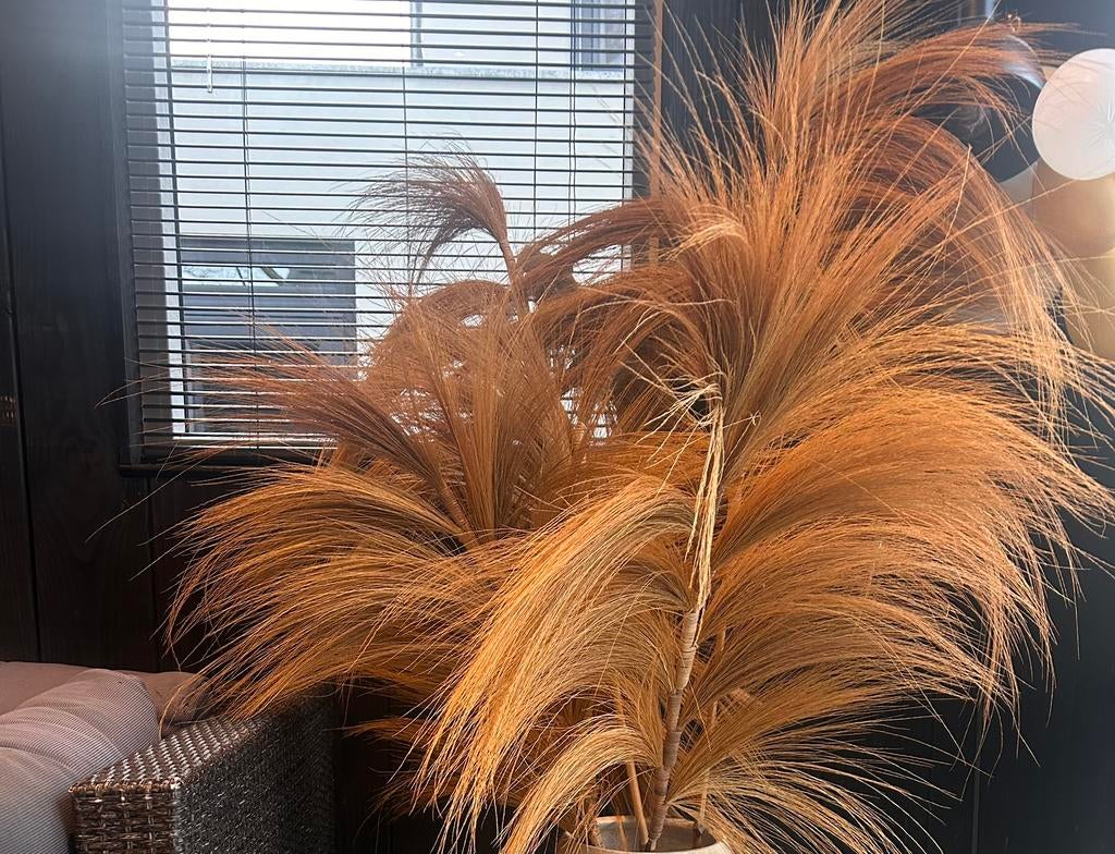 Pluimen, Ophalen, Zo goed als nieuw