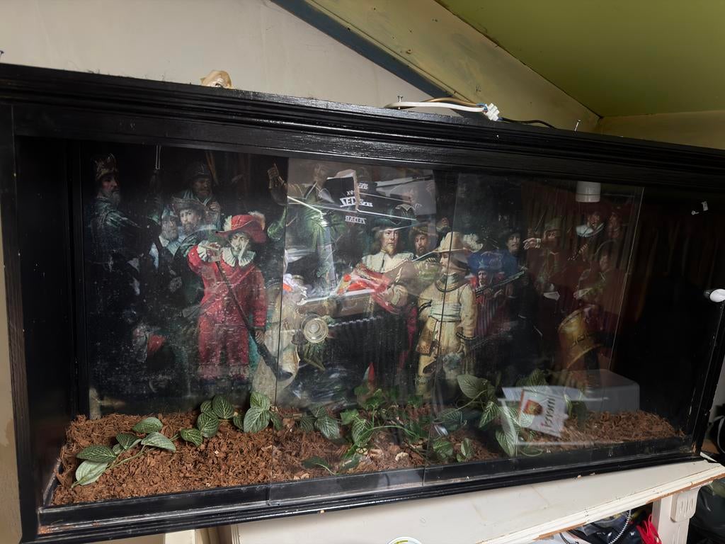 Terarrium, Ophalen, Gebruikt, Terrarium of Paludarium