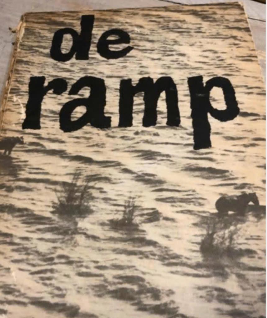 Origineel boekje Watersnoodramp: DE RAMP (1953), Boeken, Geschiedenis | Stad en Regio, Ophalen of Verzenden, 20e eeuw of later