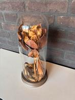 Glazen stolp  - Decoratief, Ophalen, Gebruikt