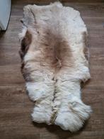 Dierenhuid als decoratie, Ophalen, 100 tot 150 cm, Bruin, Nieuw