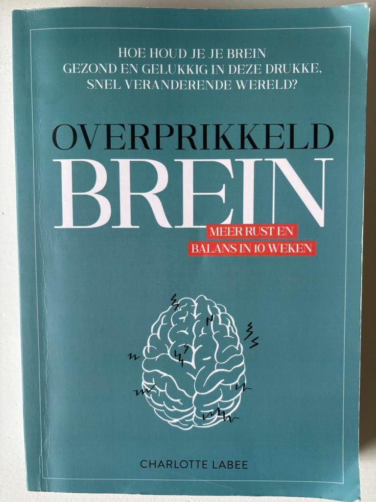 Overprikkeld Brein: Meer Rust en Balans in 10 Weken, Ophalen of Verzenden, Gelezen, Gezondheid en Conditie