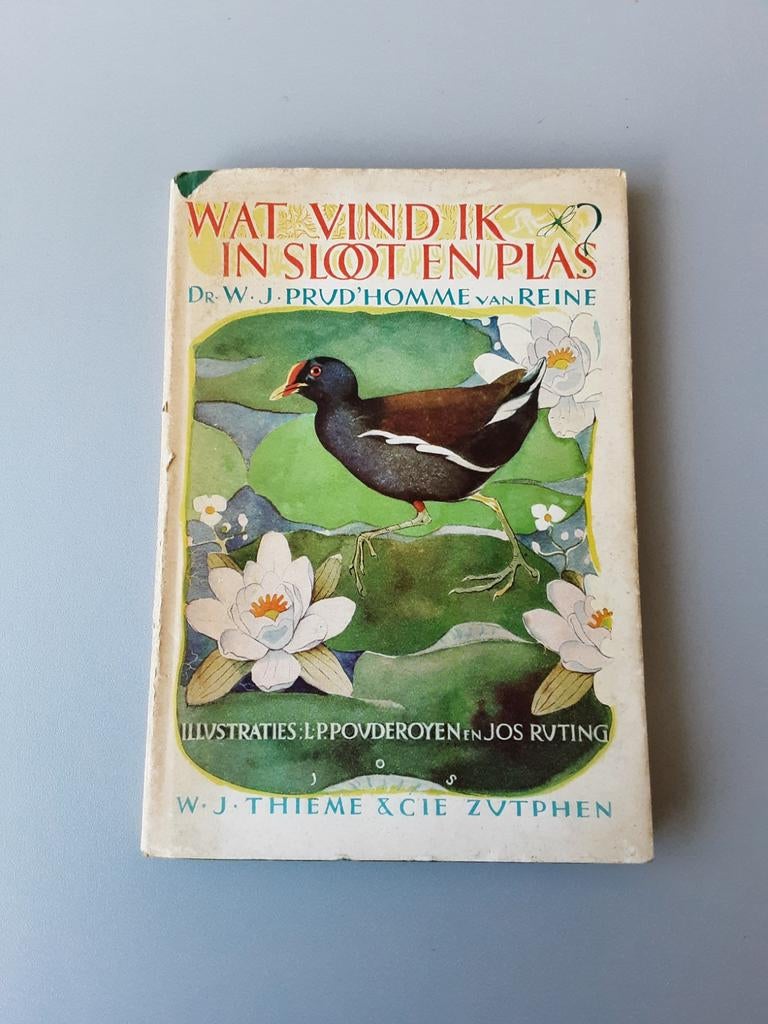 Vintage Wat vind ik in sloot en plas Prud'homme van Reine, Ophalen of Verzenden, Gelezen