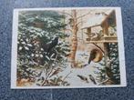 Ansicht Koekkoek "Vogels in de winter", ongelopen, Ophalen of Verzenden, 1940 tot 1960, Ongelopen