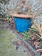 Twee grote blauwe bloempot met terracotta rand, Overige materialen, Gebruikt, Rond, Ophalen of Verzenden