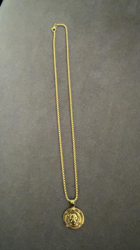 goldplated ketting met munt leeuw, Ophalen of Verzenden, Nieuw, Goud, Overige materialen
