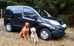 Fiat Fiorino 2010 met 2 vaste hondenkennels. Zwart, Auto's, Stof, Zwart, Particulier, Radio