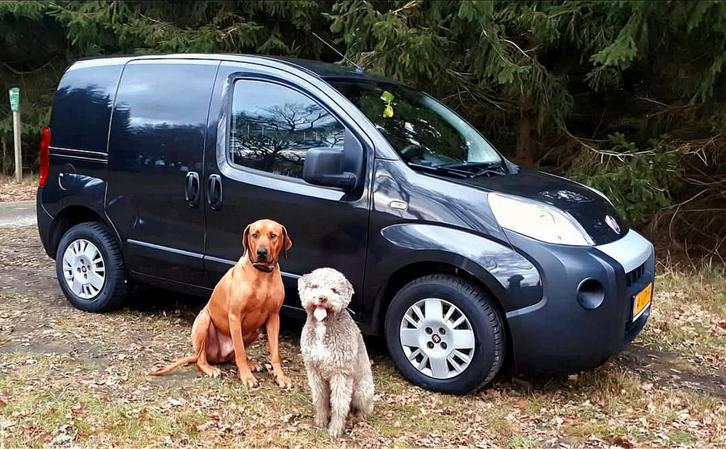 Fiat Fiorino 2010 met 2 vaste hondenkennels. Zwart, Auto's, Fiat, Particulier, Overige modellen, Airconditioning, Centrale vergrendeling