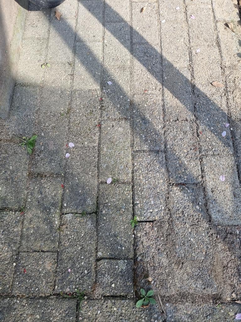 Tuinklinkers, Tuin en Terras, Ophalen, Gebruikt, Klinkers, 5 tot 10 m²