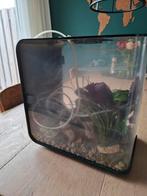 Biorb Led 30L, Dieren en Toebehoren, Ophalen, Gebruikt, Grind, Zand of Voedingsbodem