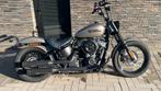 2019 FXBB Street Bob, Motoren, Motoren | Harley-Davidson, 2 cilinders, 1745 cc, Particulier, Electronisch instelbare dempers