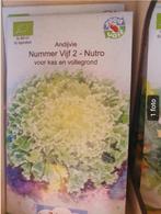 Andijvie Nutrozaden., Tuin en Terras, Ophalen of Verzenden, Najaar, Volle zon, Zaad