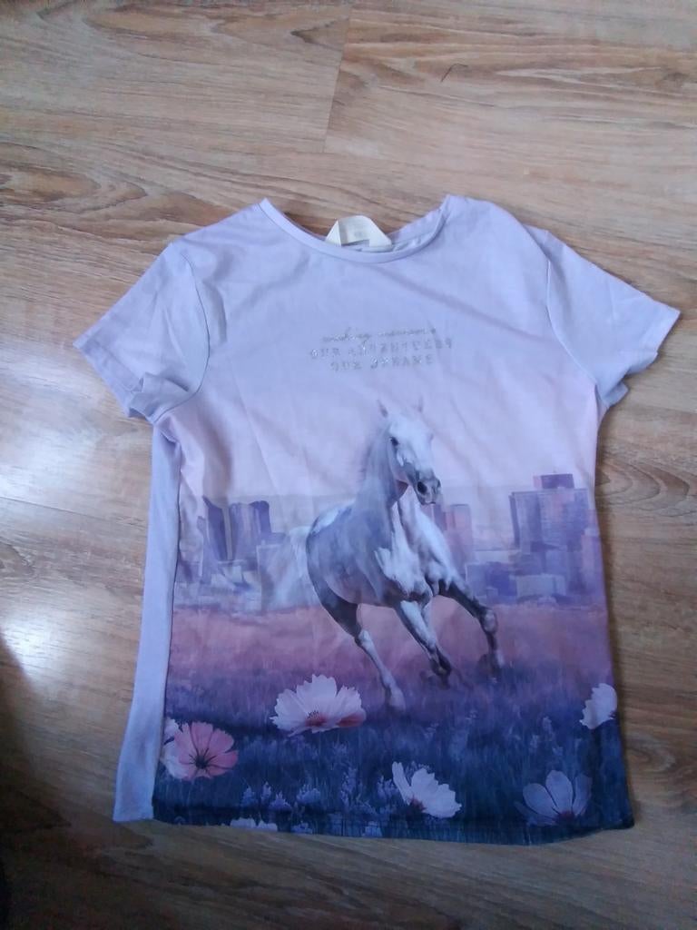 Mooi T shirt maat 158, Kinderen en Baby's, Kinderkleding | Maat 158, Meisje, H&M, Ophalen of Verzenden, Zo goed als nieuw