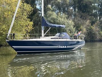 Barberis Show 29 (inruil Bespreekbaar) beschikbaar voor biedingen