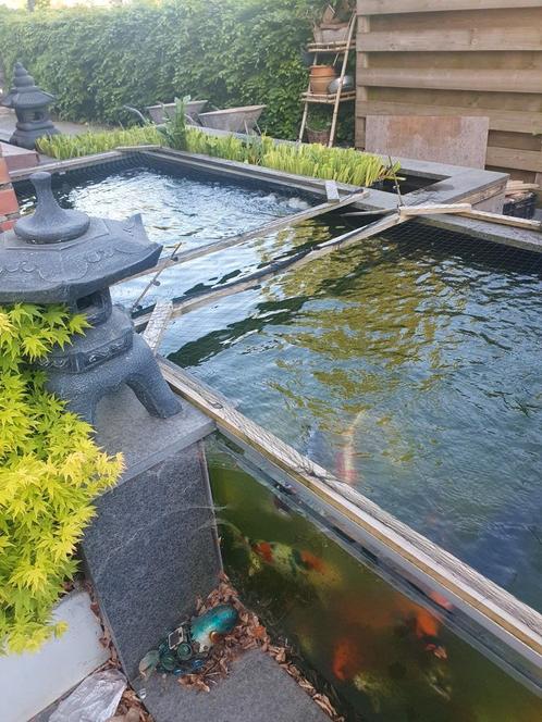 Koivijver met koi en toebehoren, Tuin en Terras, Vijvers, Gebruikt, Ophalen