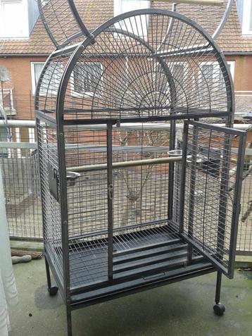vogels kooi beschikbaar voor biedingen