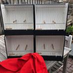 Tt kooien  als nieuw. zie foto’, Dieren en Toebehoren, Ophalen of Verzenden, Hout, Overige typen