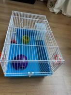 Hamsterkooi, Dieren en Toebehoren, Kooi, Gebruikt, Minder dan 75 cm, Muis
