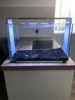 Aquarium SuperFish home 110, Ophalen of Verzenden, Zo goed als nieuw, Leeg aquarium