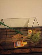 Aquarium voor goudvissen, Dieren en Toebehoren, Ophalen of Verzenden, Gebruikt, Leeg aquarium