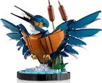 Lego | Icons | IJsvogel | 10331, Lego, Lego, Nieuw, https://legohouse.com/en-gb/info/contact-us/