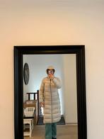Parajumpers, Maat 38/40 (M), Grijs, Gedragen, Parajumpers