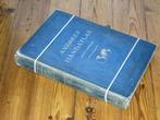 Andrees Atlas  + 5 andere atlassen, samen 30 euro, Boeken, Atlassen en Landkaarten, Gelezen, Overige atlassen, Ophalen of Verzenden