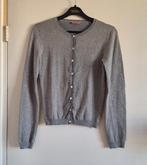 Goud glitter vestje Hema maat 146-152, Meisje, Trui of Vest, Ophalen of Verzenden, Zo goed als nieuw