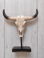 Buffel schedel op standaard, Ophalen of Verzenden