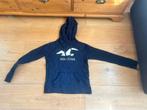 Blauwe hoodie Hollister maat XS, Blauw, Ophalen of Verzenden, Maat 34 (XS) of kleiner, Gedragen