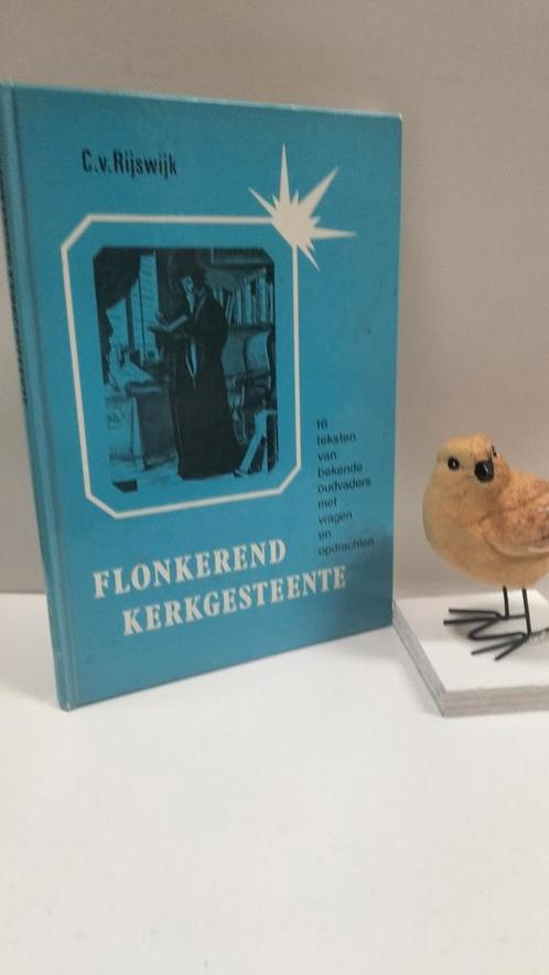 Rijswijk, C. van; Flonkerend Kerkgesteente, Boeken, Godsdienst en Theologie, Gelezen, Christendom | Protestants, Ophalen of Verzenden