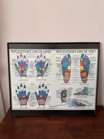 Reflexzonen Handen en voeten, Ophalen, Zo goed als nieuw, Overige typen