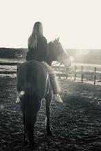Verzorgpony gezocht/bijrijders aangeboden, Dieren en Toebehoren, Ophalen of Verzenden, Zo goed als nieuw