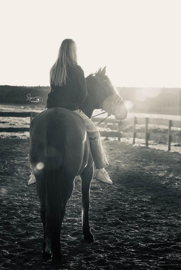 Verzorgpony gezocht/bijrijders aangeboden, Dieren en Toebehoren, Paarden en Pony's | Verzorgingsproducten, Zo goed als nieuw, Ophalen of Verzenden