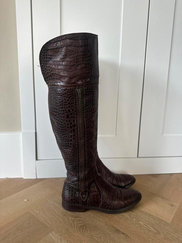 Scapa laarzen bruin croco leer – maat 38 – luxe ruiterstijl, Kleding | Dames, Schoenen, Zo goed als nieuw, Hoge laarzen, Bruin
