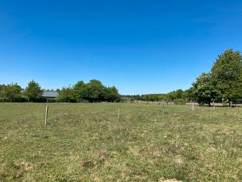 weiland te huur, Dieren en Toebehoren, Stalling en Weidegang, Stalling, Weidegang, 2 of 3 paarden of pony's