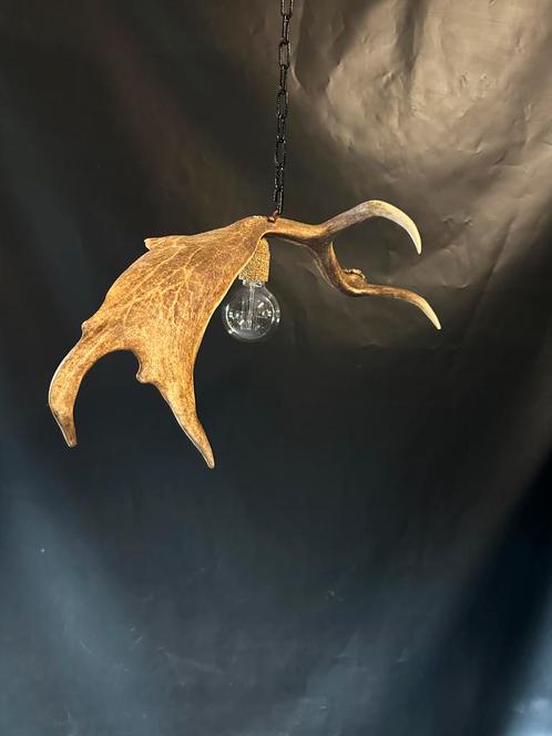 Geweienlamp.lamp.hanglamp.geweien.edelhert.damhert.brocante, Huis en Inrichting, Lampen | Hanglampen, Zo goed als nieuw, Minder dan 50 cm