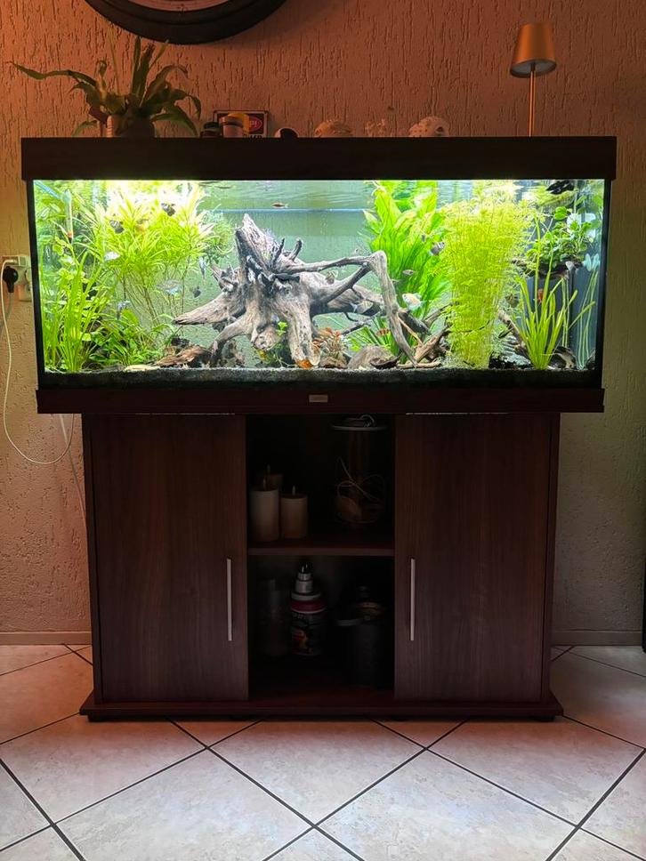 Juwel Aquarium 240 liter donker hout compleet, Dieren en Toebehoren, Vissen | Aquaria en Toebehoren, Gebruikt, Gevuld zoetwateraquarium