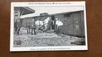 2 Fotokaarten- van Rossem Tabak—Mobilisatie-1e W.O beschikbaar voor biedingen