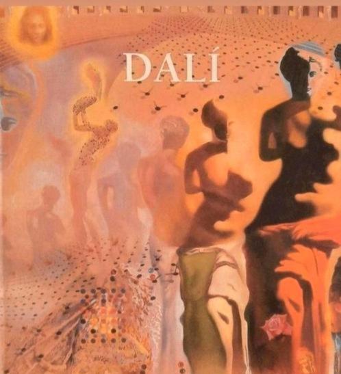 SALVADOR DALI hardcover Nederlands, Boeken, Kunst en Cultuur | Beeldend, Zo goed als nieuw, Schilder- en Tekenkunst, Verzenden
