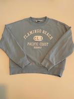 Costes trui/sweater maat M, licht blauw, Ophalen of Verzenden, Gedragen, Maat 38/40 (M), Blauw